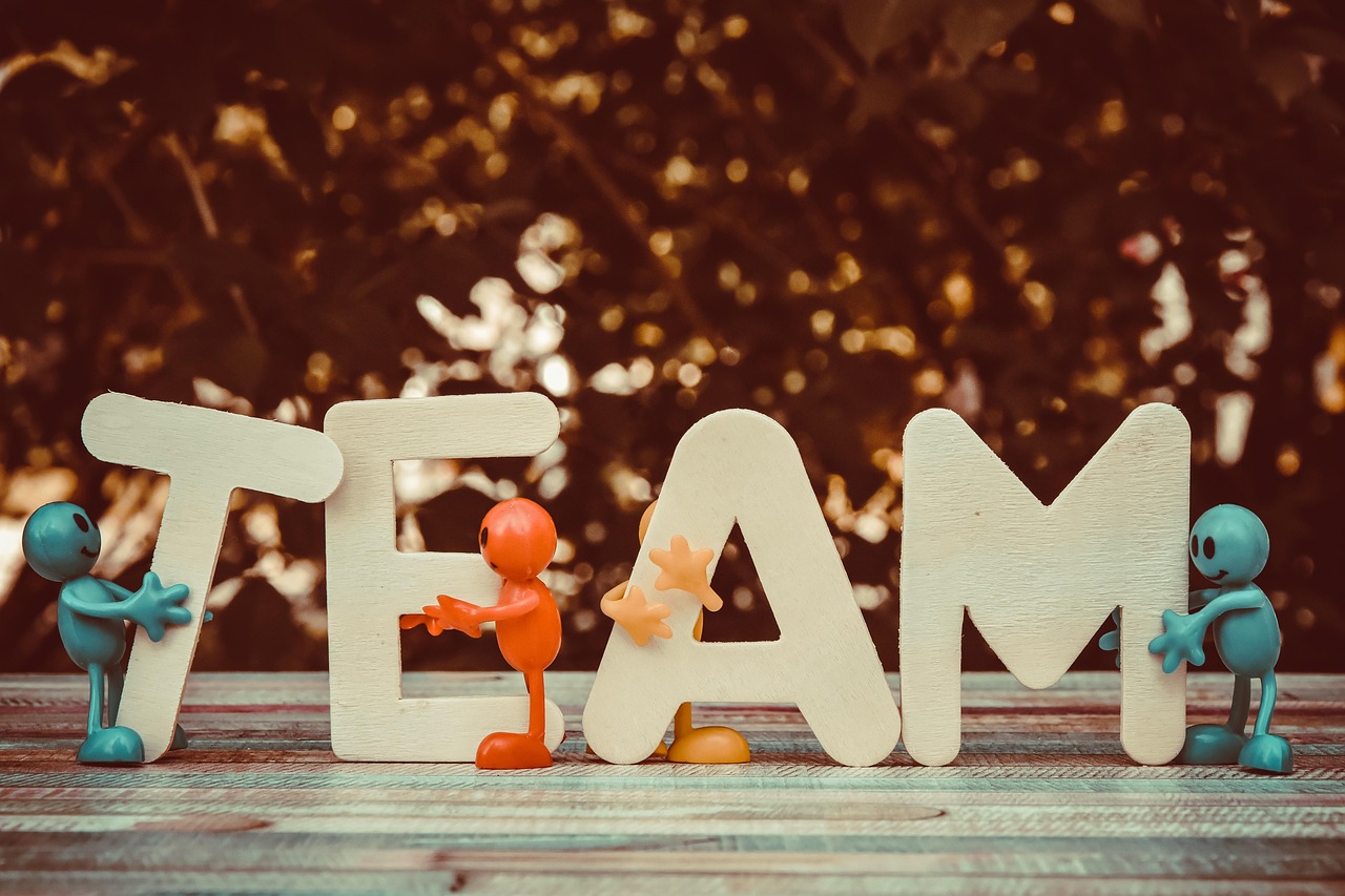 HCDF team