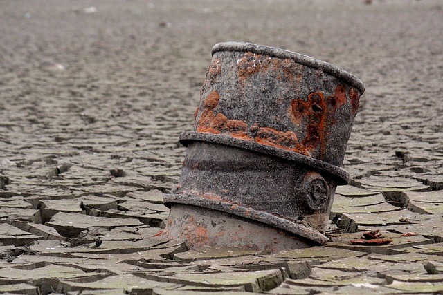 Niger Delta: The Paradox of a Resource Base